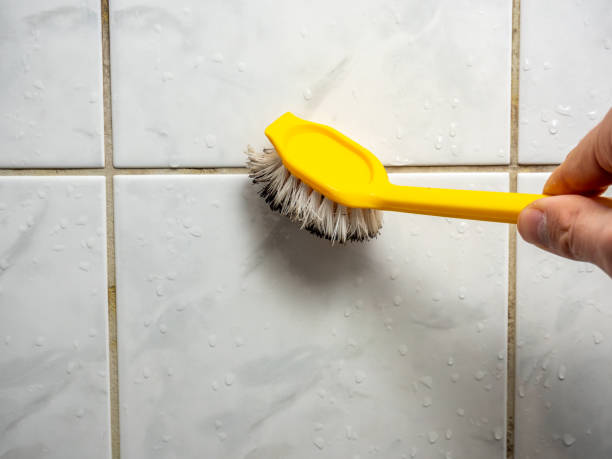 Lovettsville, VA Mold Removal Company