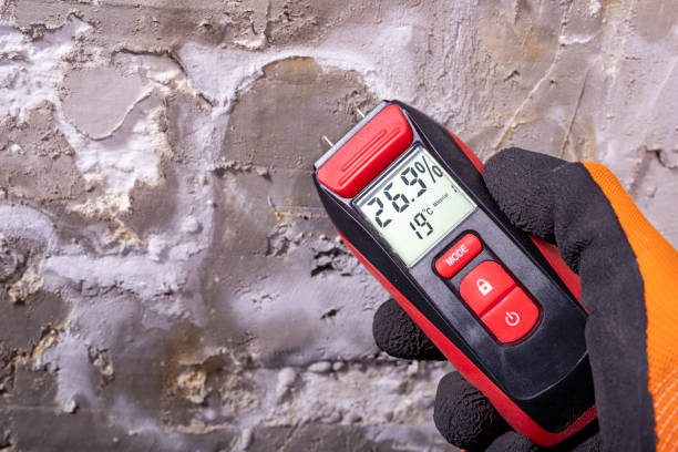 Best Certified Mold Removal  in Lovettsville, VA