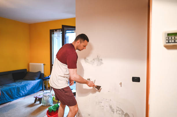 Best Fast Mold Removal  in Lovettsville, VA